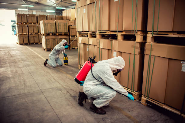 Best Pest Control for Homes  in Magnolia Springs, AL