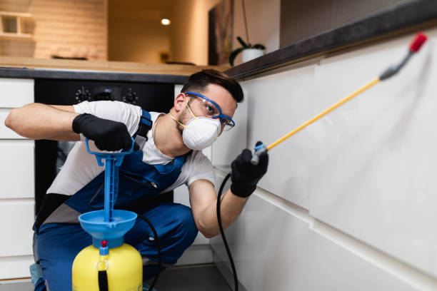 Best Residential Pest Control  in Magnolia Springs, AL