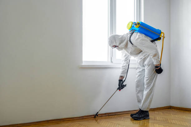 Best Emergency Pest Control  in Magnolia Springs, AL