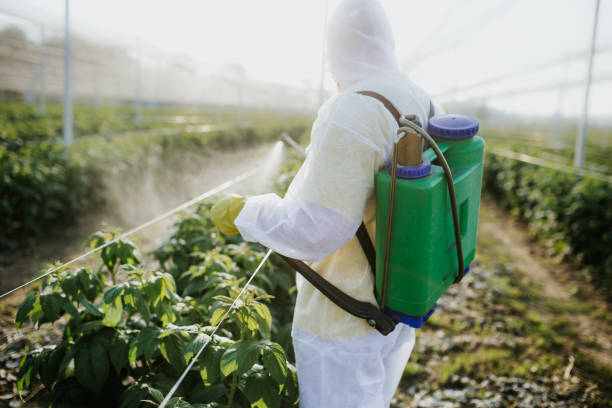 Best Insect Control  in Magnolia Springs, AL